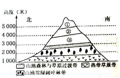 山地垂直自然带