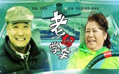 老妈学车