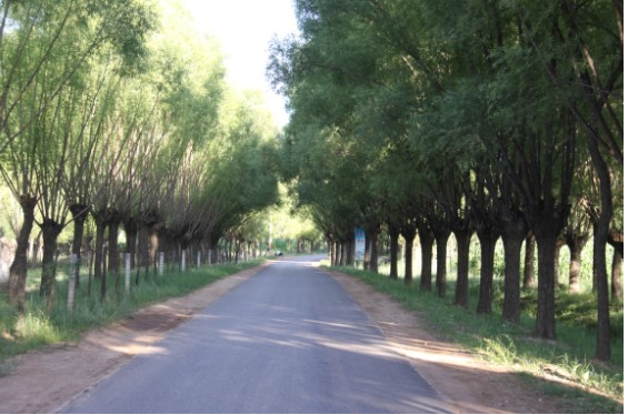 麻生圐圙村