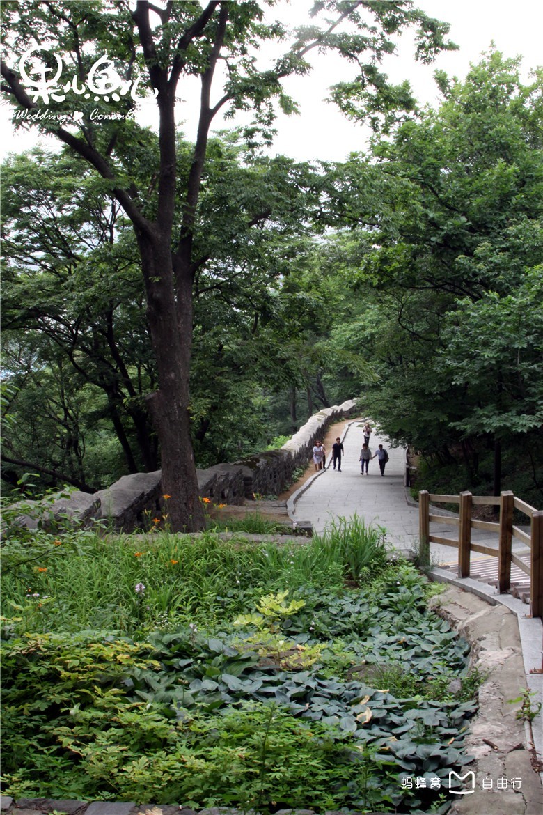 南山公园