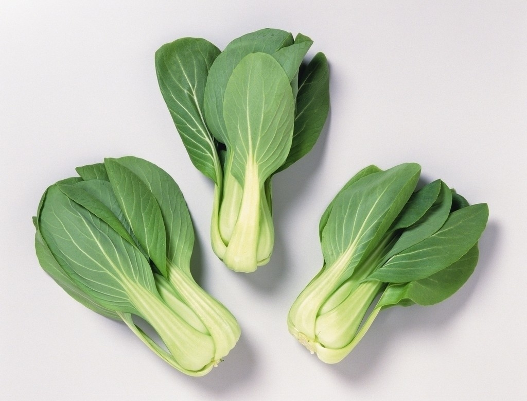 绿叶,叶柄和嫩茎为产品的 a target="_blank" href="/item/速生蔬菜