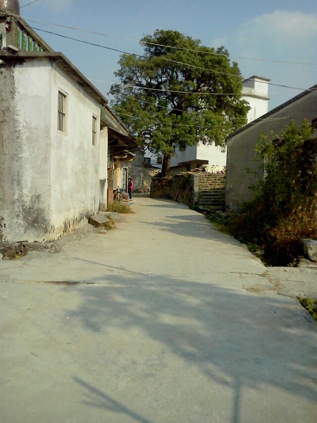 ">揭东区 /a>坪埔村位于206国道,揭丰公路国道路旁新亨镇政府左侧