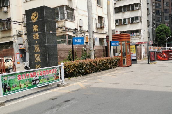 南阳常绿林溪谷