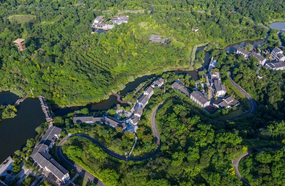 张坝桂圆林公园