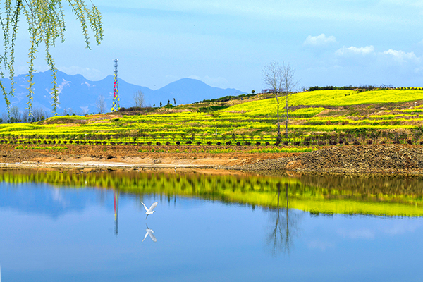 桃花岛风景区