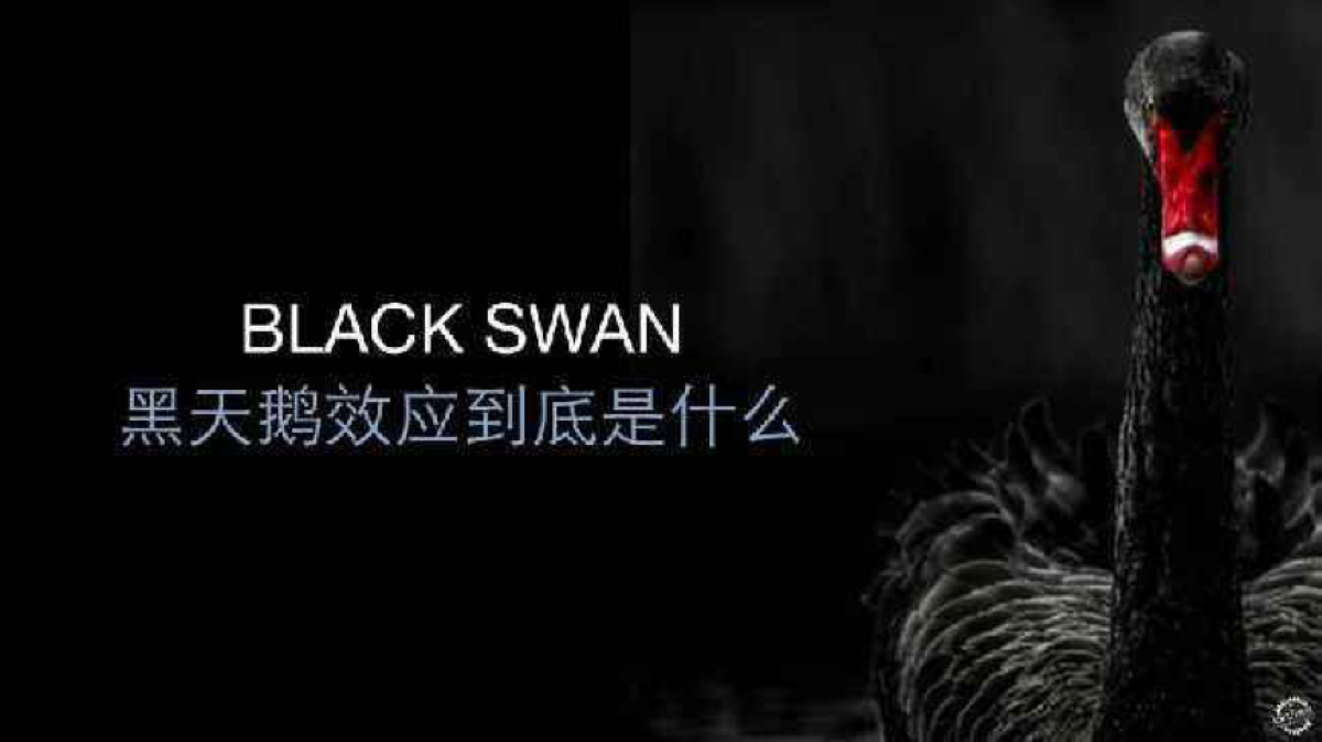稀有的黑天鹅与偏执的塔勒布_百科TA说