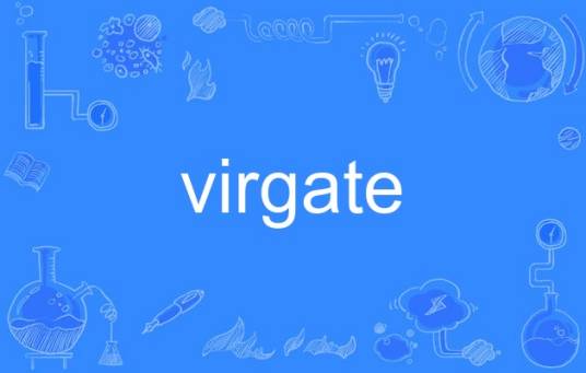 virgate_百度百科
