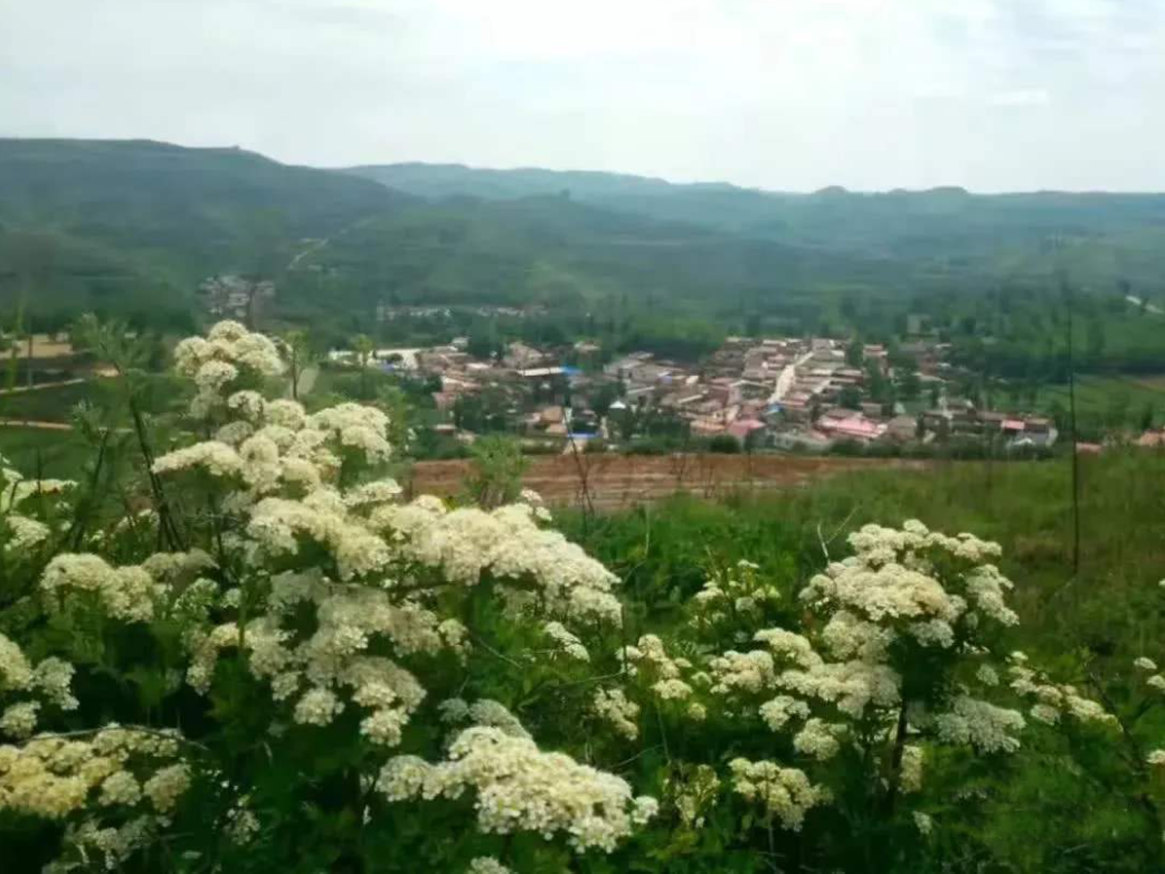  p>拦隆口镇,隶属青海省西宁市 a target="_blank" href="/item/湟中