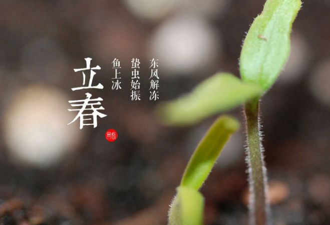 今年立春日也是除夕日 年夜饭别忘了添上一份五辛盘 百科ta说