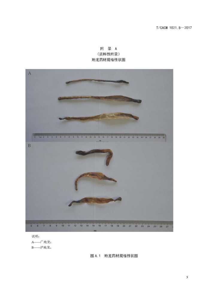 中药材商品规格等级—地龙_百度百科