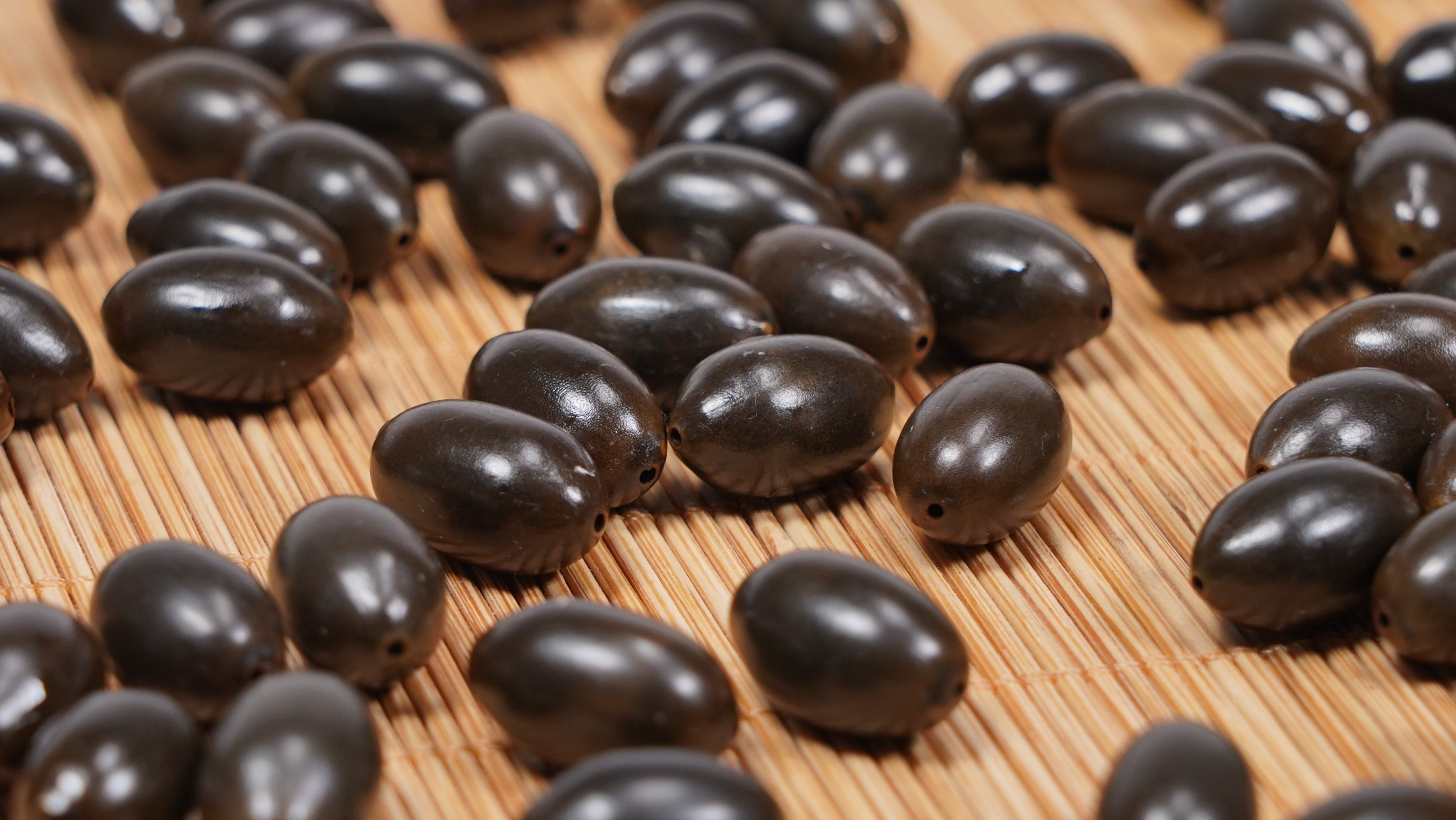 2196218">爱莲说 /a>》流行于北宋末年,是由莲蓬中的莲子穿串组合而成