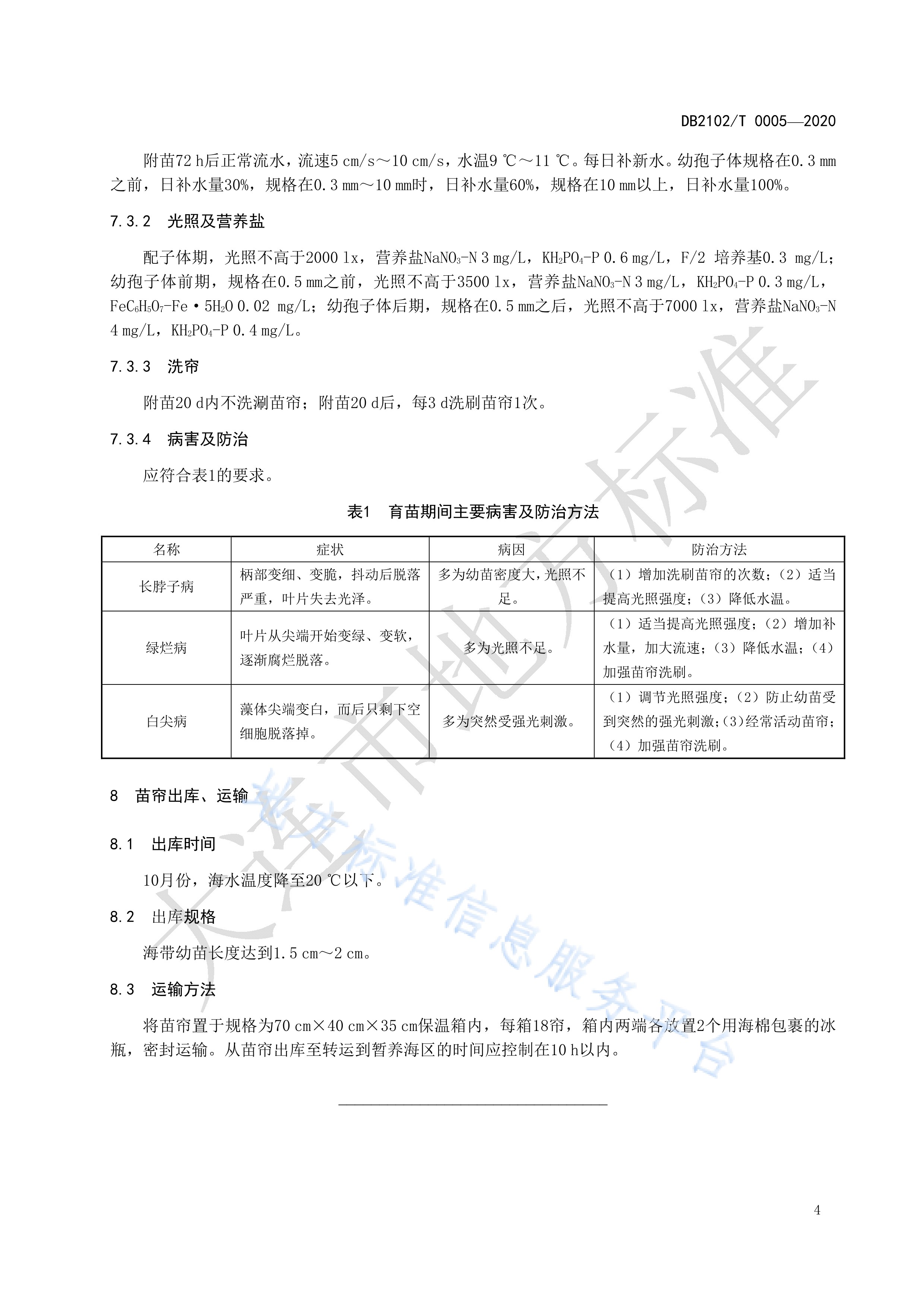 海带配子体采苗及育苗技术规程