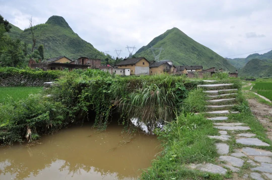 大坪村