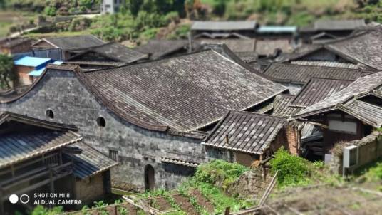 后溪村（福建省泉州市洛江区罗溪镇下辖村）_百度百科