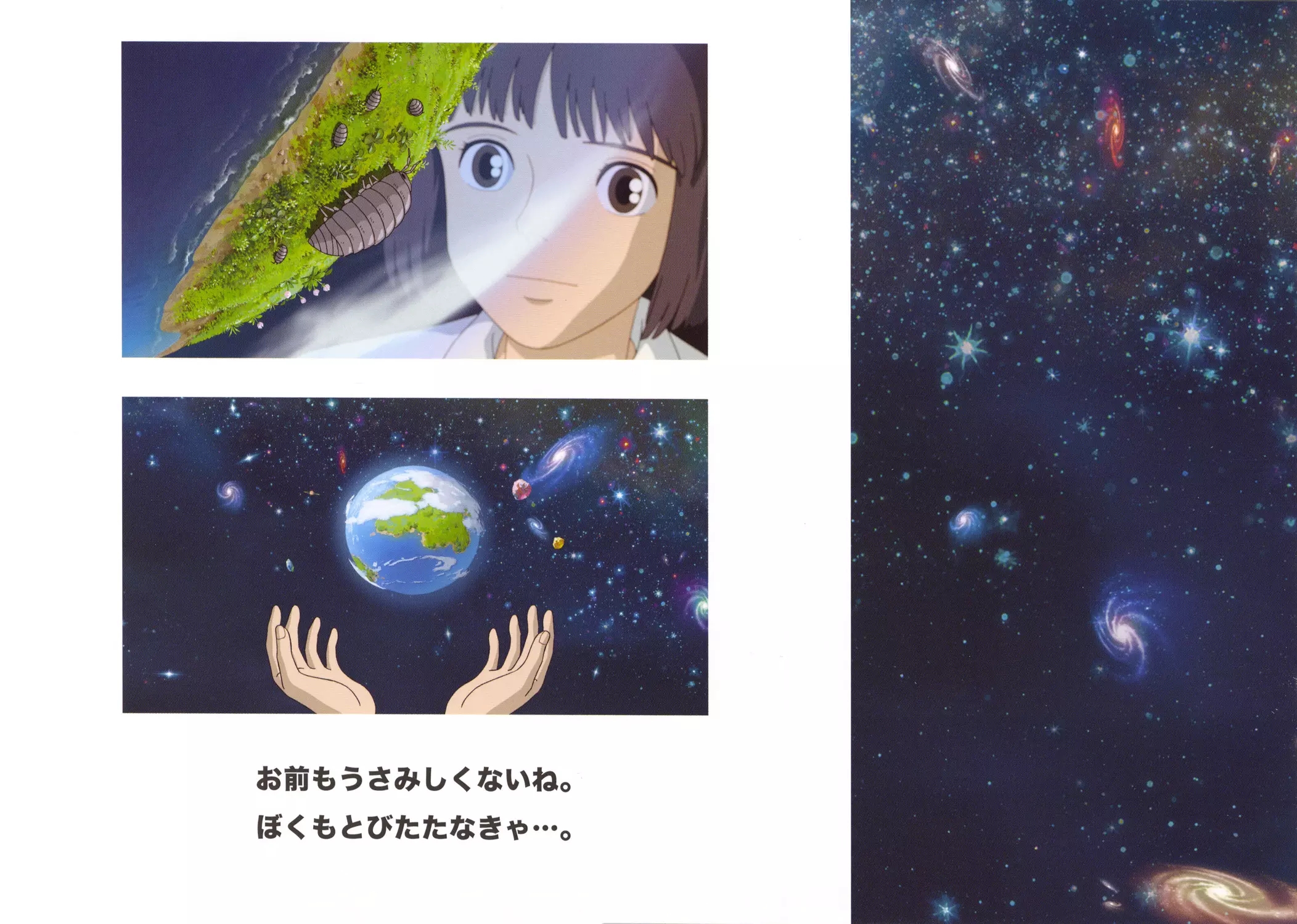 种下星星的日子