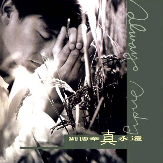 今天（1995年刘德华演唱的流行歌曲）_百度百科