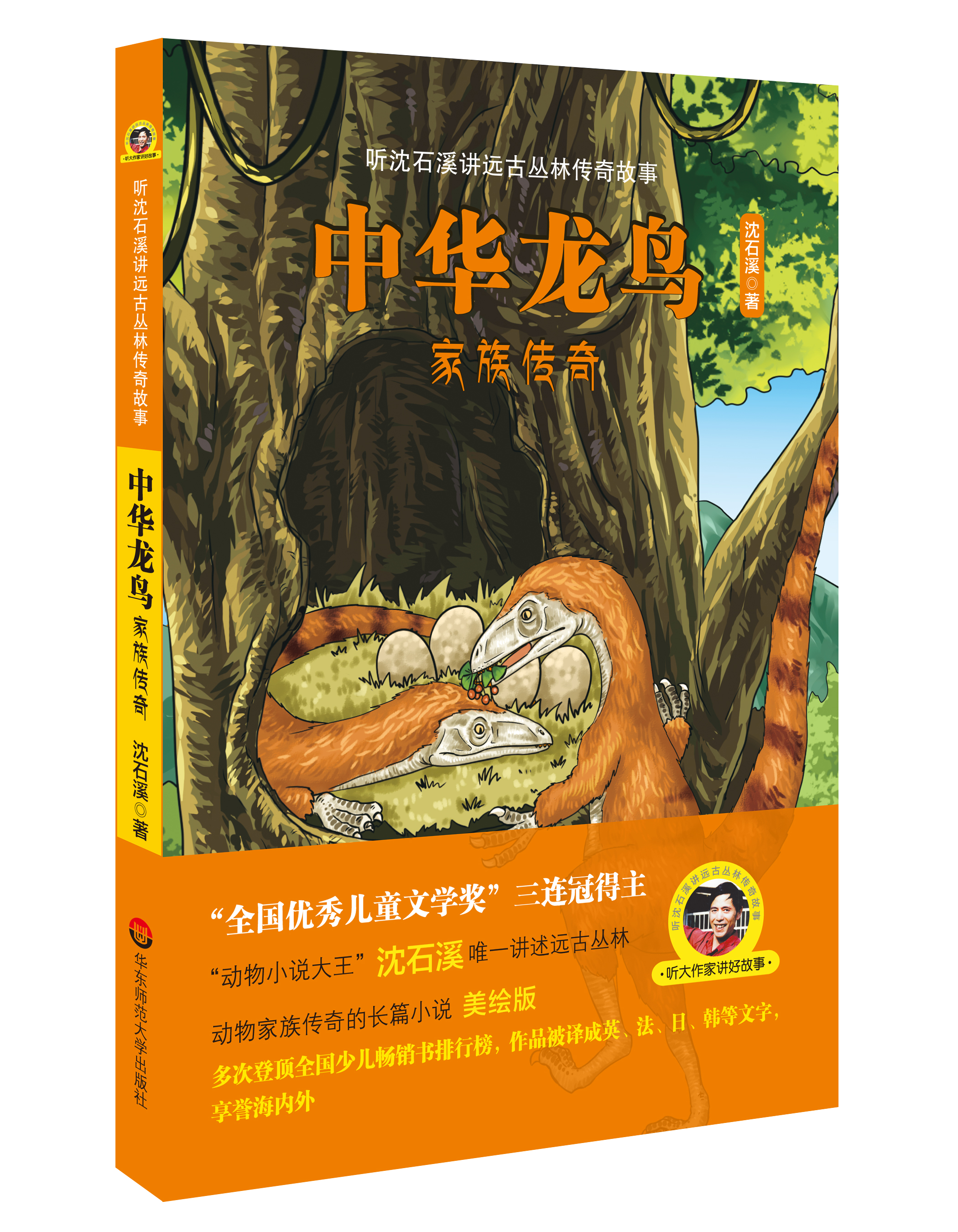 中华龙鸟家族传奇