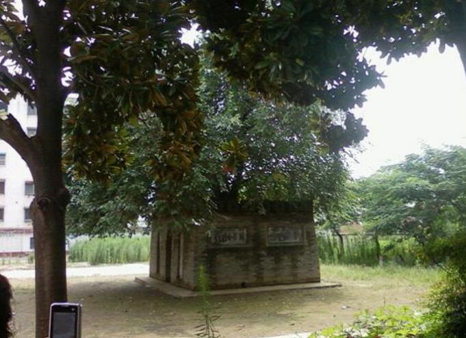 火烧新野遗址
