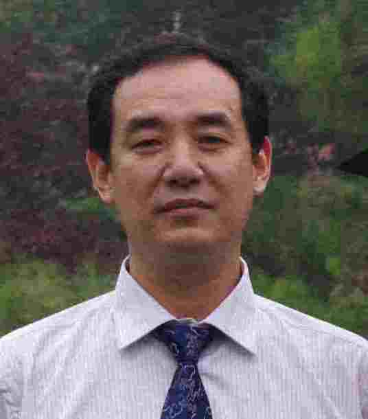 刘志刚（北京交通大学电气工程学院教授）_百度百科