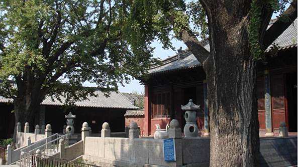 <p>泮池上的桥