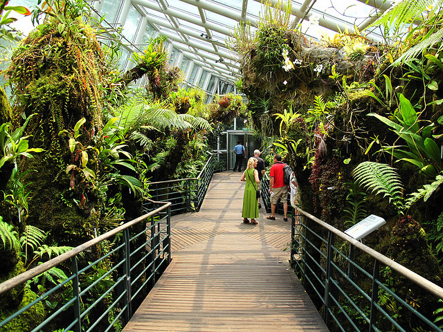 新加坡植物园