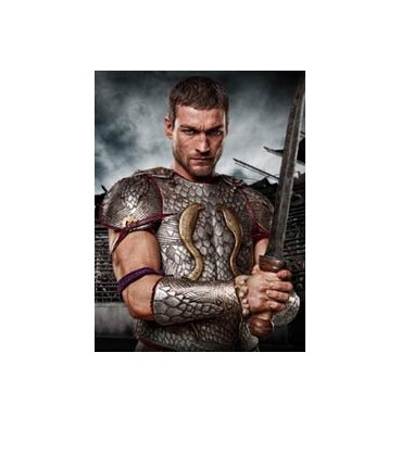 spartacus: gods of the arena