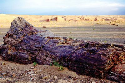  p>准噶尔盆地(英文junggar basin;"噶"为gá),位于中国 a target="