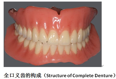 全口义齿