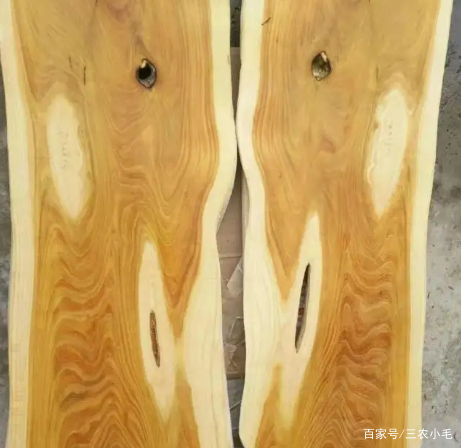 柘木是怎样一种树木？为何能和紫檀齐名？长得平凡但价值高_百科TA说