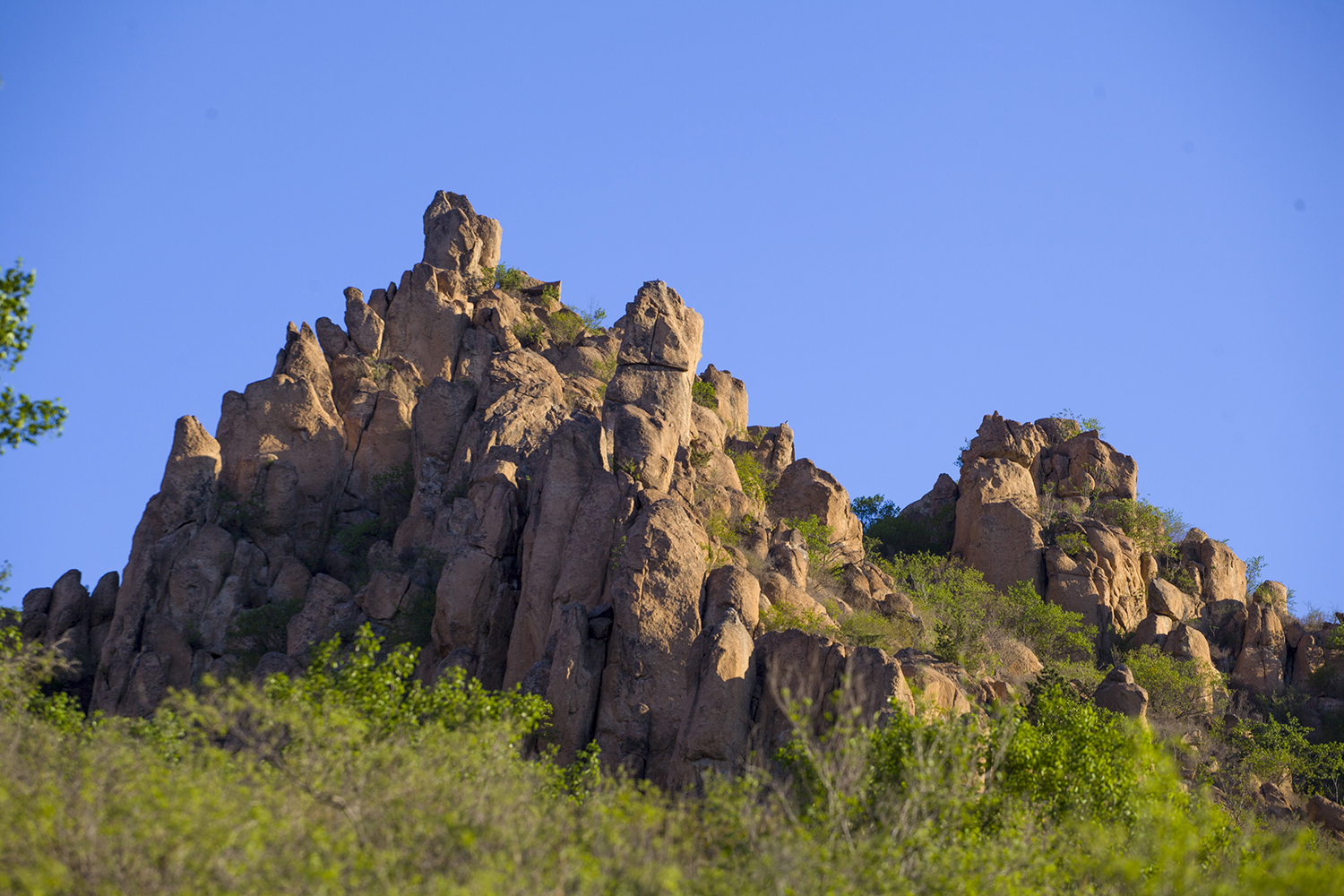 背砬子山