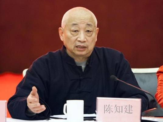 陈知建_百度百科