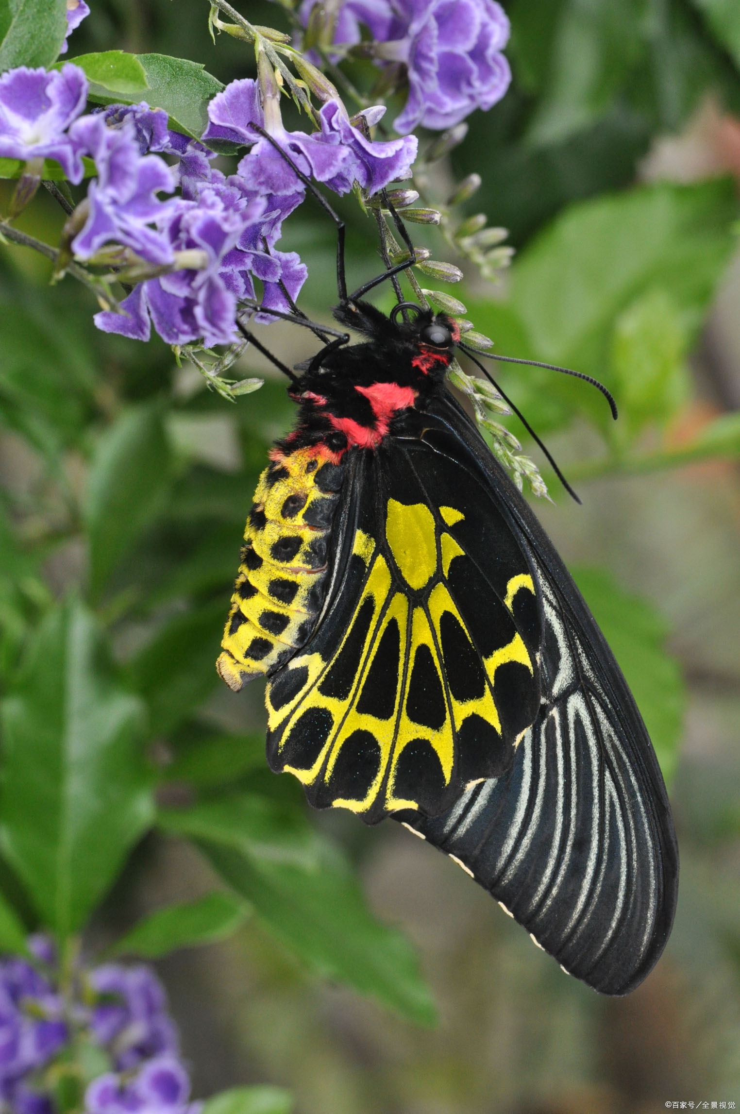 中外名人的苦难史 生命的强者一定喜欢逆流而上 百科ta说