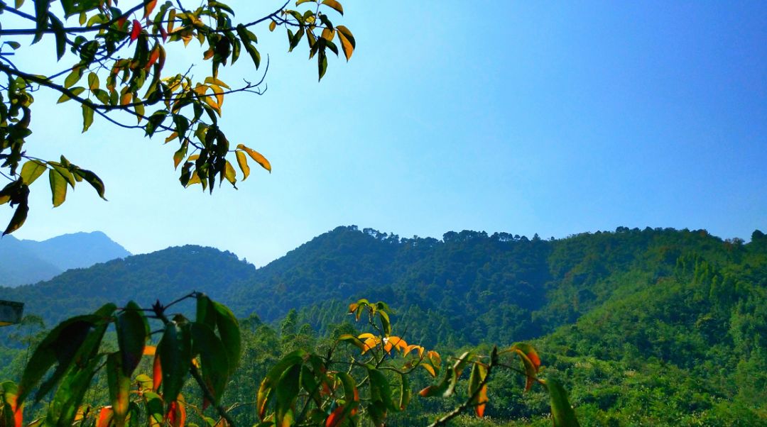 上林县大庙江生态旅游景区