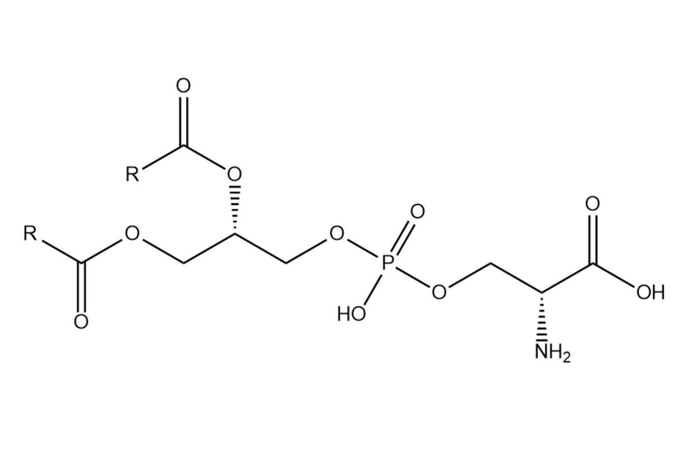  p>磷脂酰丝氨酸是存在于 a target="_blank" href="/item/细菌