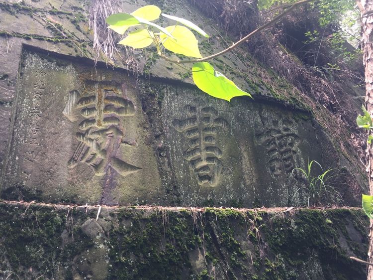  p>青木关镇,隶属于重庆市沙坪坝区,地处 a target="_blank" href="