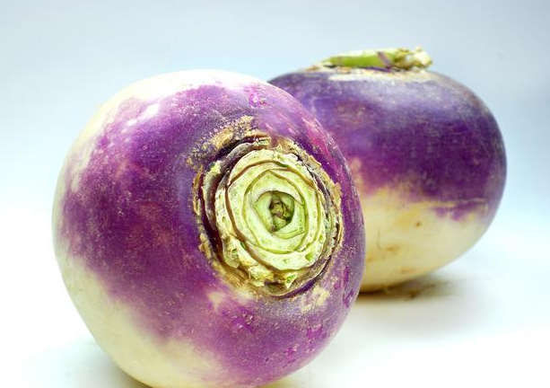 蔓菁读音 全网资源