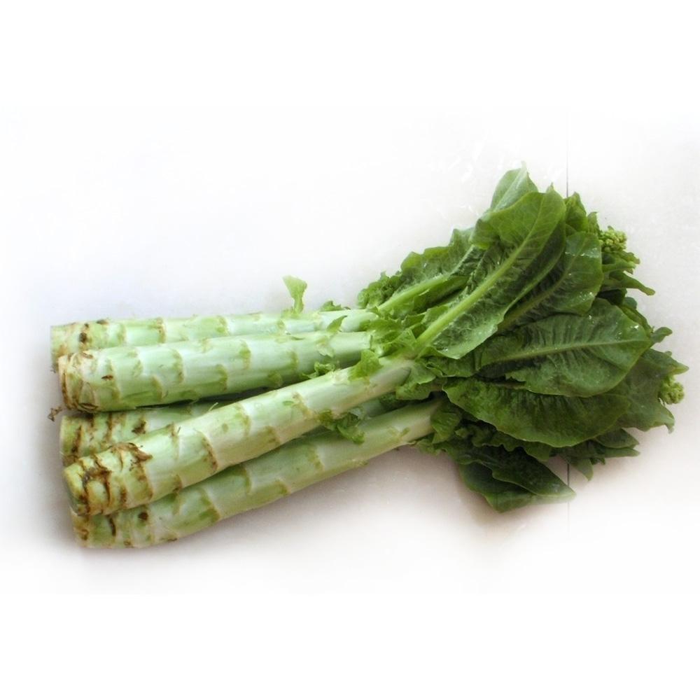 莴苣