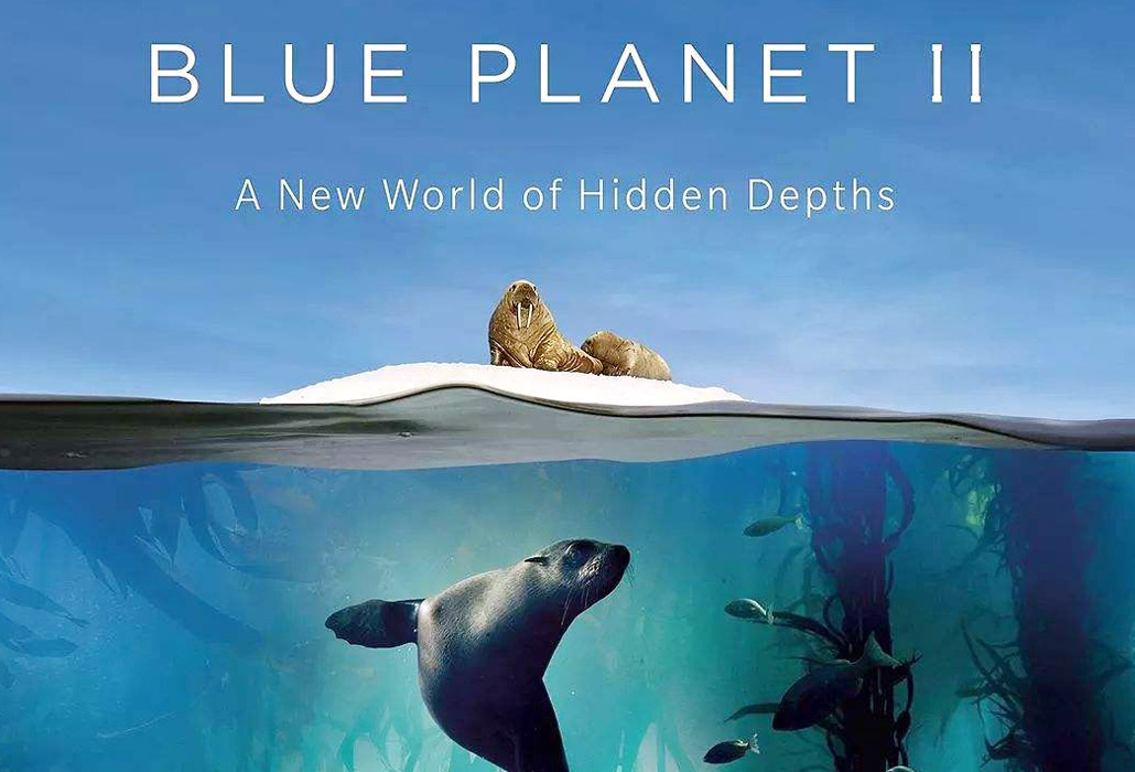 蓝色星球第二季