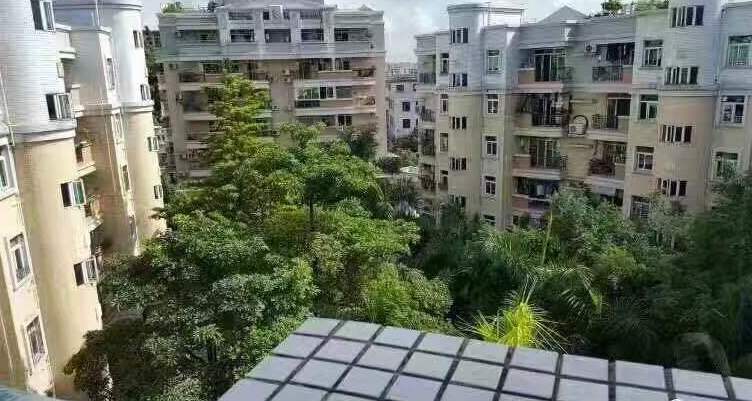  p>张溪豪苑位于中山市石岐区张溪,共计房屋90户. /p>