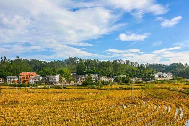  p data-id="go0fjt59iy">龙坪镇,隶属于贵州省遵义市播州区,地处 a