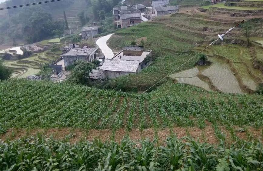 data-lemmaid="18664752">云南省 /a>昭通市威信县,地处 a target="