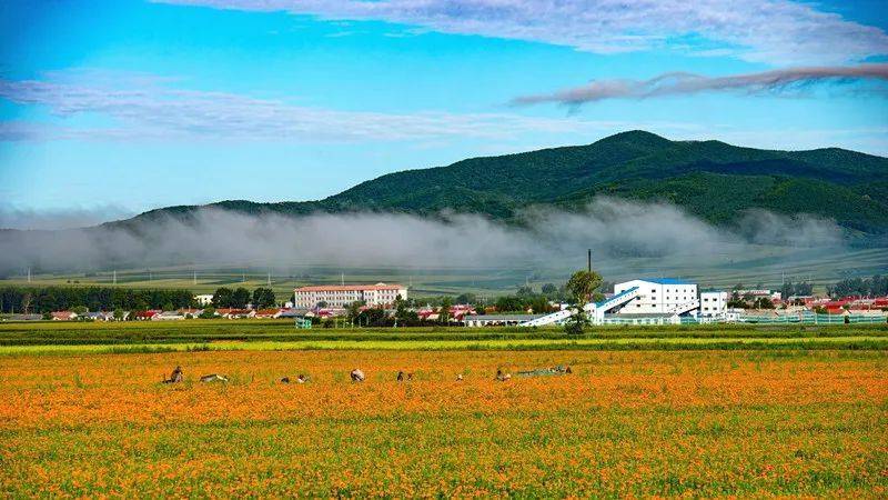 小城子镇,隶属黑龙江省双鸭山市 a target="_blank" href="/item/宝清