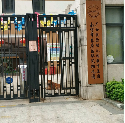 南宁市良庆区华艺幼儿园
