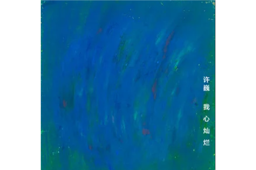 《我心灿烂》是许
