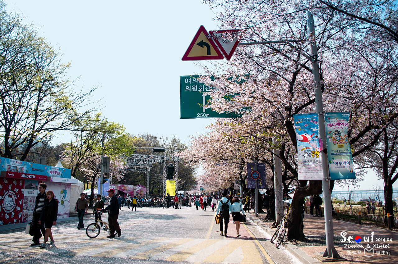 汝矣岛