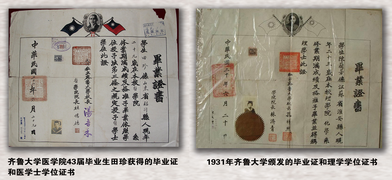 山东大学齐鲁医学院