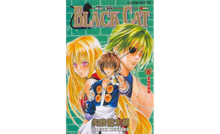  p>《黑猫 06》是2002年东立出版社出版的图书,作者是矢吹健太朗. /p>