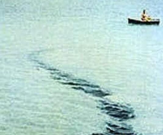 普水怪经常被称为"美国的尼斯湖水怪",这是美国尚普兰湖(位于佛蒙特州