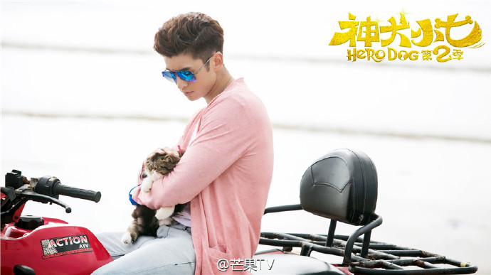 神犬小七第二季