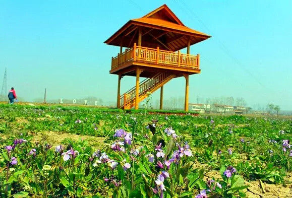  p data-id="gnwzhkt6uk">滨河新城,位于江苏省连云港市海州区,经济